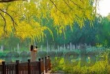 完场的足球比分-完场比分背后，一场足球赛的胜负密码与人生隐喻